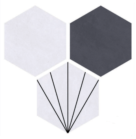 Hexagonal Wall Tile TL 05101 Geome Fellow Ray 12 x 10 inch Vitrified Matte Finish - 9 mm | Suitable for Living Room, Bedroom, Bathroom, Kitchen & Balcony | Image 1