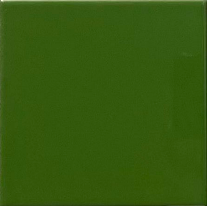 TL 00055 AA 8x8 inch Oasis Green Plain Glossy Finish Ceramic Wall Tile - 6 mm | Image 1