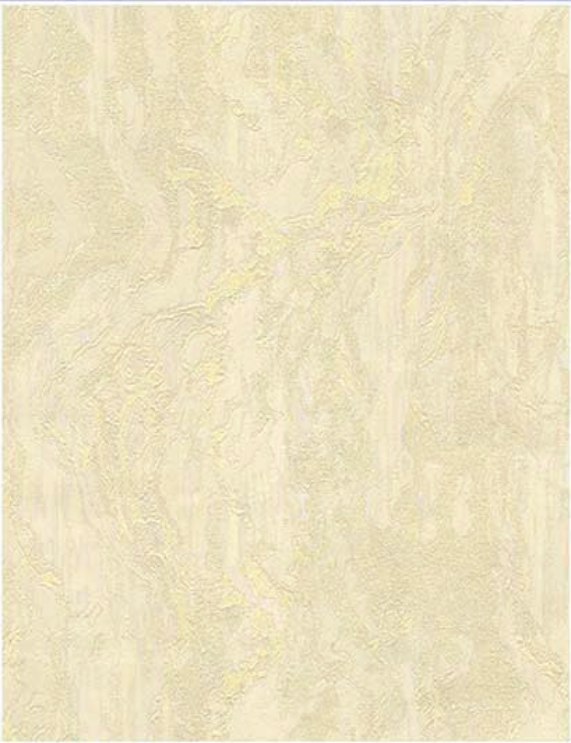 RT5500-39 | 10 Meter x 21 Inches Patterned look Wallpaper - 57.41 Sq. Ft. Image 01