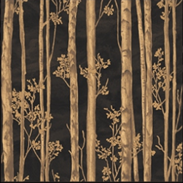 WK120-36 | 9.5 Meter x 21 Inches Wood look Wallpaper - 54.54 Sq. Ft. Image 01