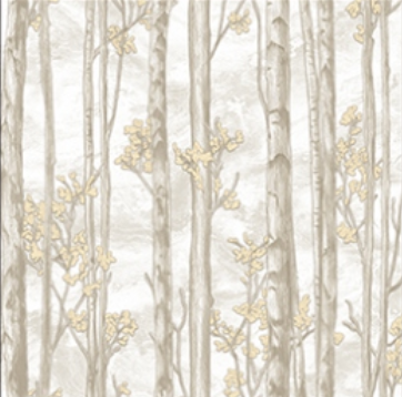 WK120-38 | 9.5 Meter x 21 Inches Wood look Wallpaper - 54.54 Sq. Ft. Image 01