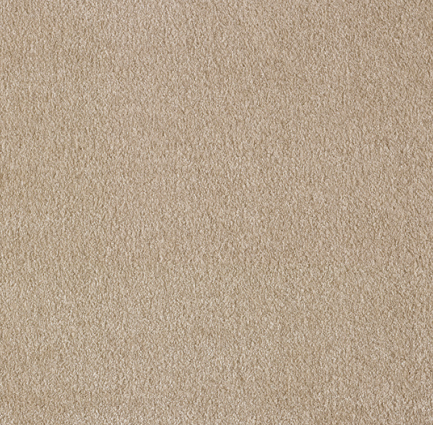 36 - Camel Soft Touch Series 1 Meter x 4 Meter 100 % Nylon Yarn Composition Carpet Tile - 15.5 mm  Image 01