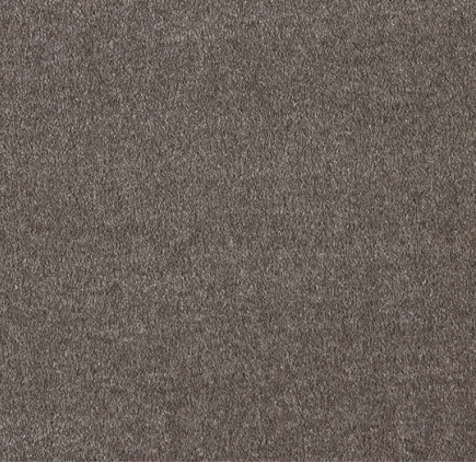 43 - Bistro Soft Touch Series 1 Meter x 4 Meter 100 % Nylon Yarn Composition Carpet Tile - 15.5 mm  Image 01