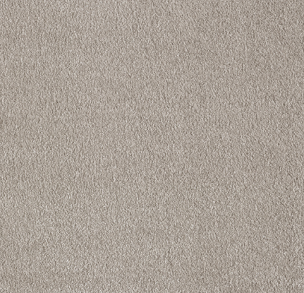 45 - Mocha Soft Touch Series 1 Meter x 4 Meter 100 % Nylon Yarn Composition Carpet Tile - 15.5 mm  Image 01