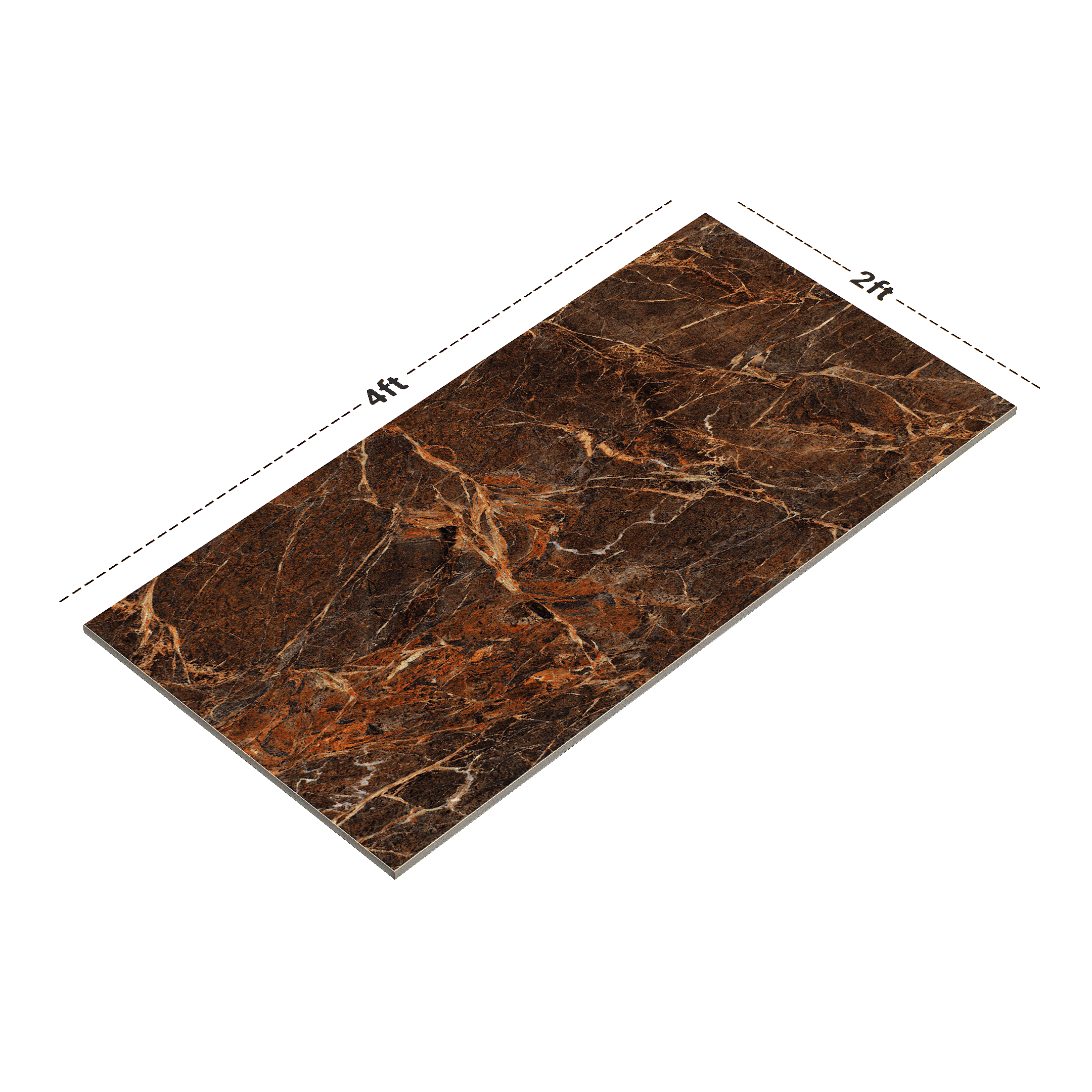 Dimension image of TL 01016 Spider Brown 1200x600 mm High Gloss Finish Vitrified Wall & Floor Tile - 9 mm | Material Depot