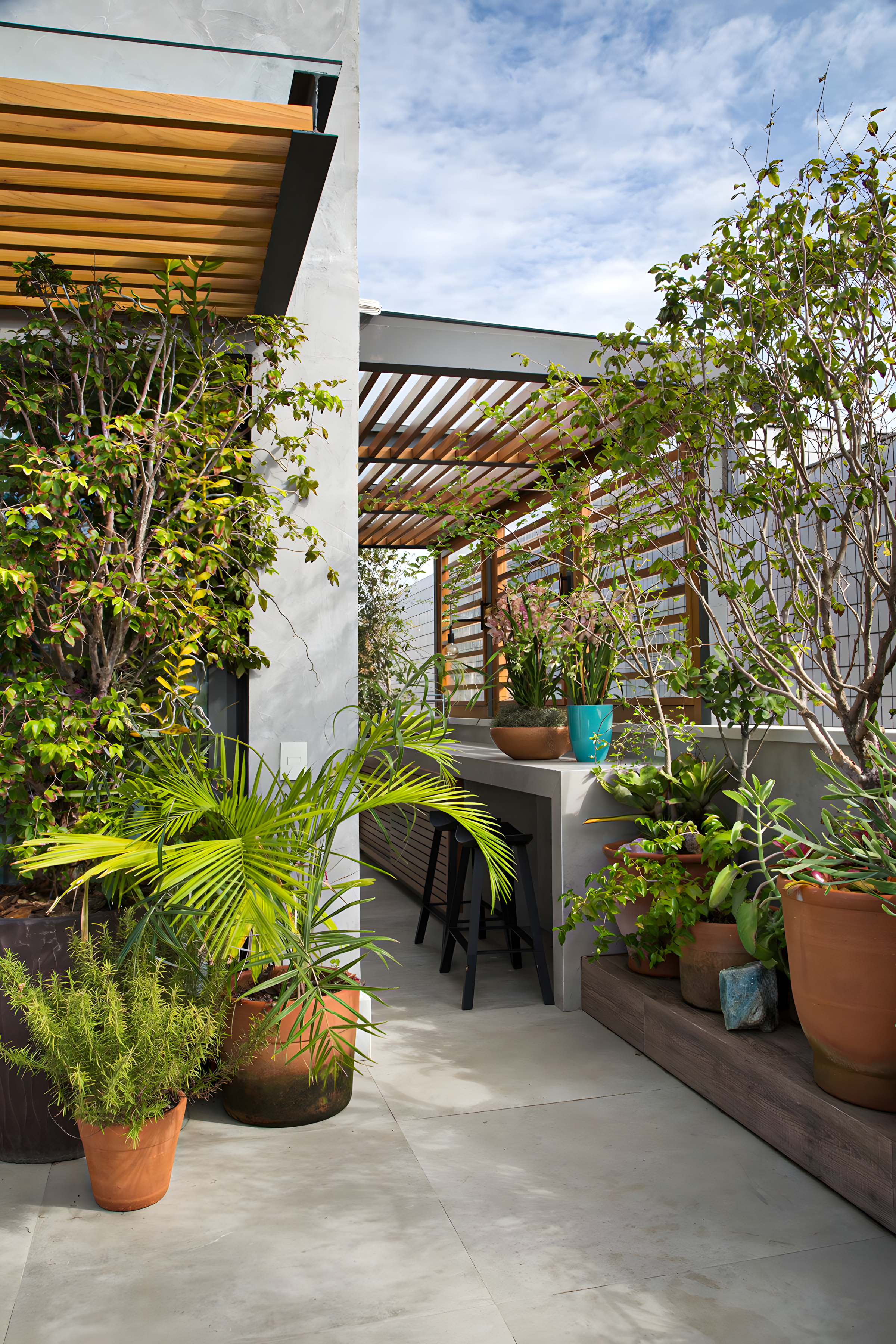 Modern Rooftop Terrace with Greenery and Wooden Pergola | Material Depot